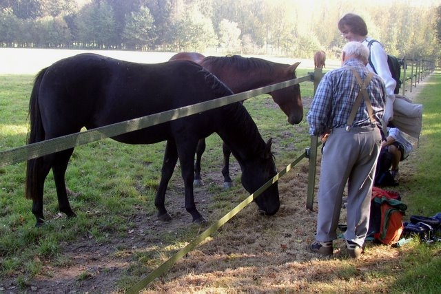 2007 10 Bois de Rochefort 26